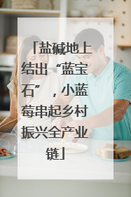 盐碱地上结出“蓝宝石”，小蓝莓串起乡村振兴全产业链
