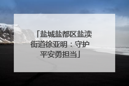 盐城盐都区盐渎街道徐亚明：守护平安勇担当