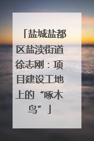 盐城盐都区盐渎街道徐志刚：项目建设工地上的“啄木鸟”