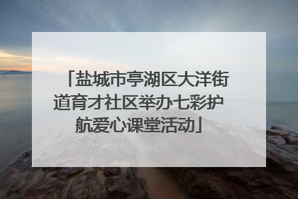 盐城市亭湖区大洋街道育才社区举办七彩护航爱心课堂活动