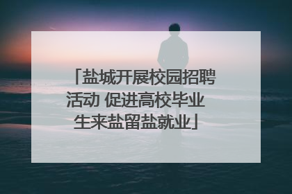 盐城开展校园招聘活动 促进高校毕业生来盐留盐就业