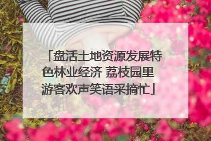 盘活土地资源发展特色林业经济 荔枝园里游客欢声笑语采摘忙