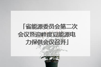省能源委员会第二次会议暨迎峰度夏能源电力保供会议召开