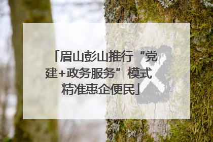 眉山彭山推行“党建+政务服务”模式 精准惠企便民
