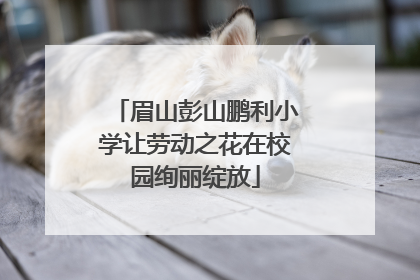 眉山彭山鹏利小学让劳动之花在校园绚丽绽放