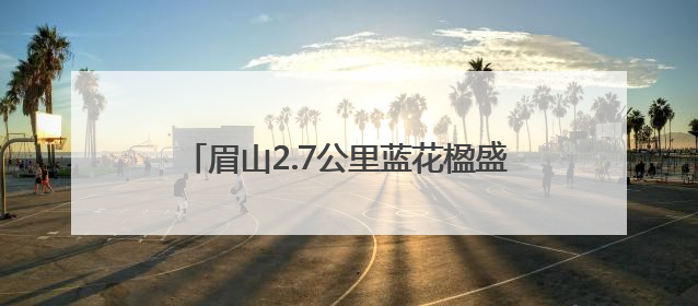 眉山2.7公里蓝花楹盛开 花期将持续到下月
