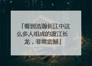 看到浩瀚长江中这么多人组成的渡江长龙，非常震撼