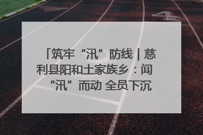 筑牢“汛”防线｜慈利县阳和土家族乡：闻“汛”而动 全员下沉筑牢防汛“安全堤”