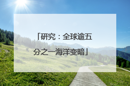 研究：全球逾五分之一海洋变暗