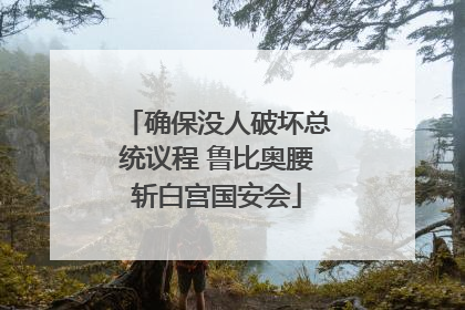 确保没人破坏总统议程 鲁比奥腰斩白宫国安会