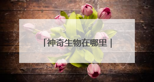 神奇生物在哪里｜比大熊猫更稀少！湖南新宁成功救护濒危鸟类海南鳽