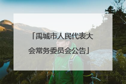 禹城市人民代表大会常务委员会公告