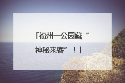 福州一公园藏“神秘来客”！