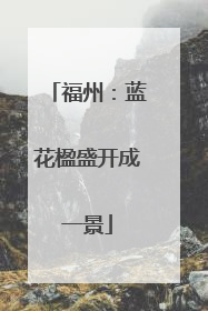 福州：蓝花楹盛开成一景