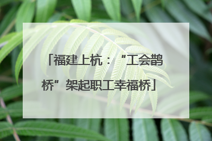 福建上杭：“工会鹊桥”架起职工幸福桥