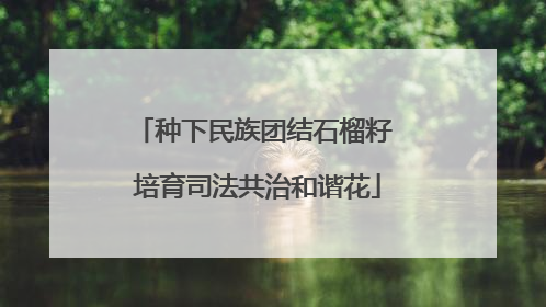 种下民族团结石榴籽 培育司法共治和谐花