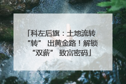 科左后旗：土地流转 “转” 出黄金路！解锁 “双薪” 致富密码