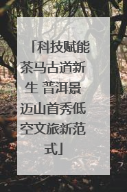 科技赋能茶马古道新生 普洱景迈山首秀低空文旅新范式