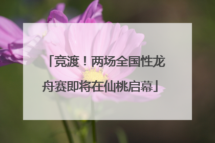 竞渡！两场全国性龙舟赛即将在仙桃启幕