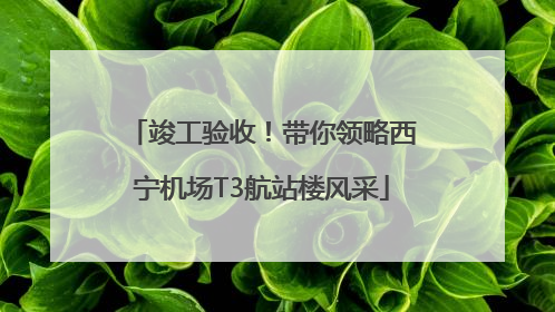 竣工验收！带你领略西宁机场T3航站楼风采
