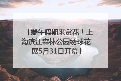 端午假期来赏花！上海滨江森林公园绣球花展5月31日开幕
