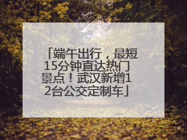 端午出行，最短15分钟直达热门景点！武汉新增12台公交定制车