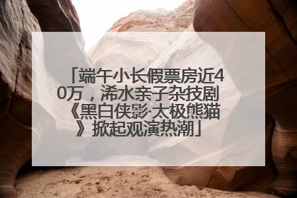 端午小长假票房近40万，浠水亲子杂技剧《黑白侠影·太极熊猫》掀起观演热潮