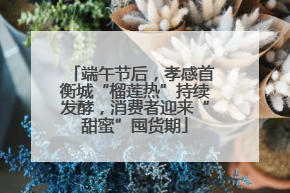端午节后，孝感首衡城“榴莲热”持续发酵，消费者迎来“甜蜜”囤货期