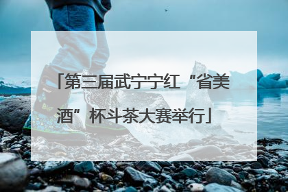 第三届武宁宁红“省美酒”杯斗茶大赛举行