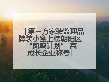 第三方家装监理品牌装小蜜上榜朝阳区 “凤鸣计划” 高成长企业称号