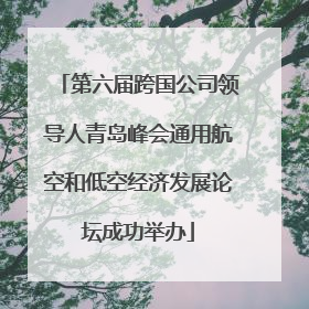 第六届跨国公司领导人青岛峰会通用航空和低空经济发展论坛成功举办