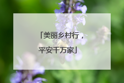美丽乡村行，平安千万家