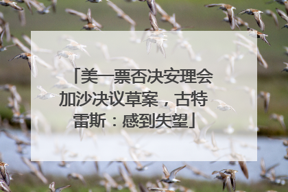 美一票否决安理会加沙决议草案，古特雷斯：感到失望