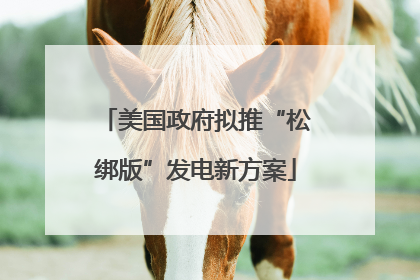 美国政府拟推“松绑版”发电新方案