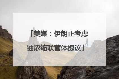 美媒：伊朗正考虑铀浓缩联营体提议