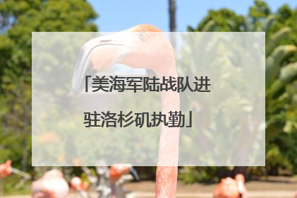 美海军陆战队进驻洛杉矶执勤