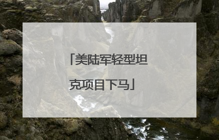 美陆军轻型坦克项目下马