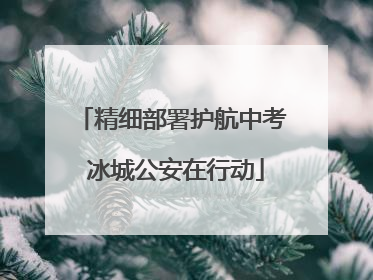 精细部署护航中考 冰城公安在行动