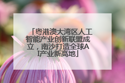 粤港澳大湾区人工智能产业创新联盟成立，南沙打造全球AI产业新高地