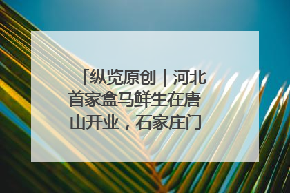 纵览原创｜河北首家盒马鲜生在唐山开业，石家庄门店预计8月开业
