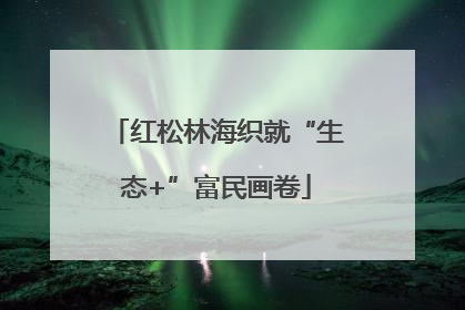 红松林海织就“生态+”富民画卷
