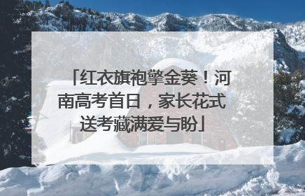 红衣旗袍擎金葵！河南高考首日，家长花式送考藏满爱与盼