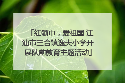 红领巾，爱祖国 江油市三合镇逸夫小学开展队前教育主题活动