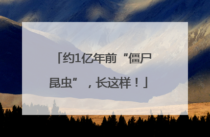 约1亿年前“僵尸昆虫”，长这样！