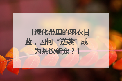 绿化带里的羽衣甘蓝，因何“逆袭”成为茶饮新宠？