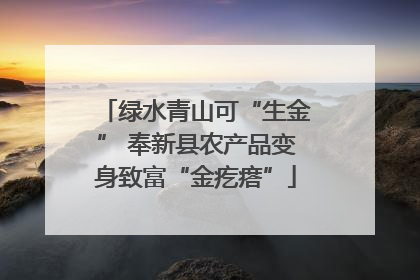 绿水青山可“生金” 奉新县农产品变身致富“金疙瘩”