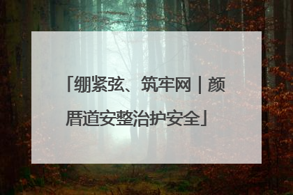 绷紧弦、筑牢网｜颜厝道安整治护安全