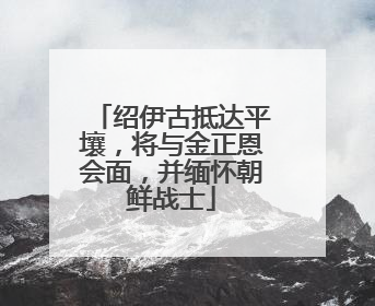 绍伊古抵达平壤，将与金正恩会面，并缅怀朝鲜战士