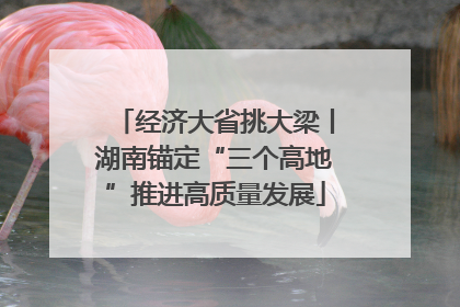 经济大省挑大梁丨湖南锚定“三个高地”推进高质量发展
