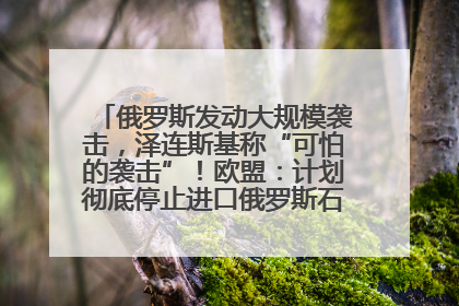 俄罗斯发动大规模袭击，泽连斯基称“可怕的袭击”！欧盟：计划彻底停止进口俄罗斯石油！油价飙涨